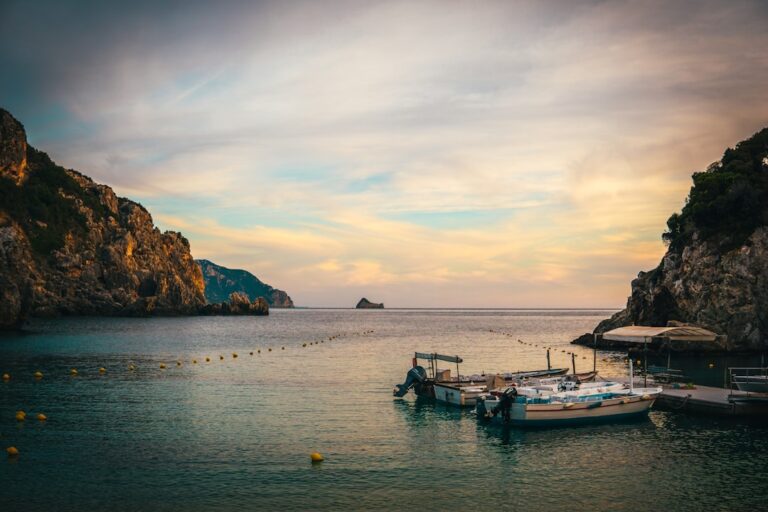 boats in the water