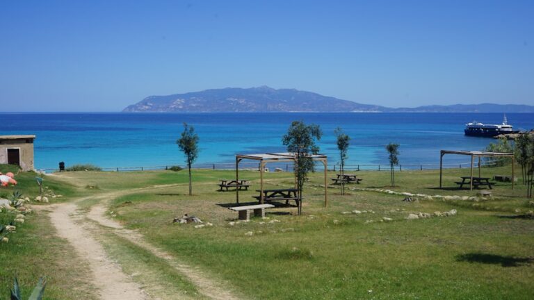 A dirt road leading to a beach with a boat in the water