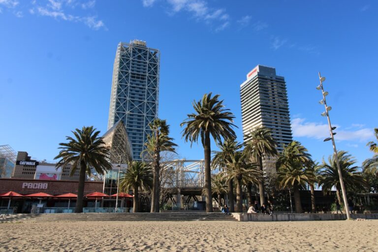 palm trees near high rise buildings during daytime